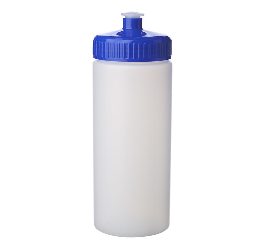 Frosted Plastic Water Bottles 20 oz - Blue