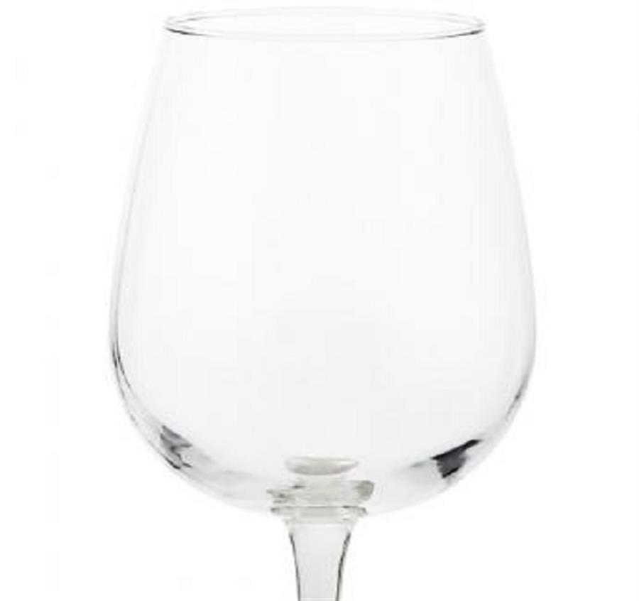 Libbey Vina Wine Glasses - Clear
