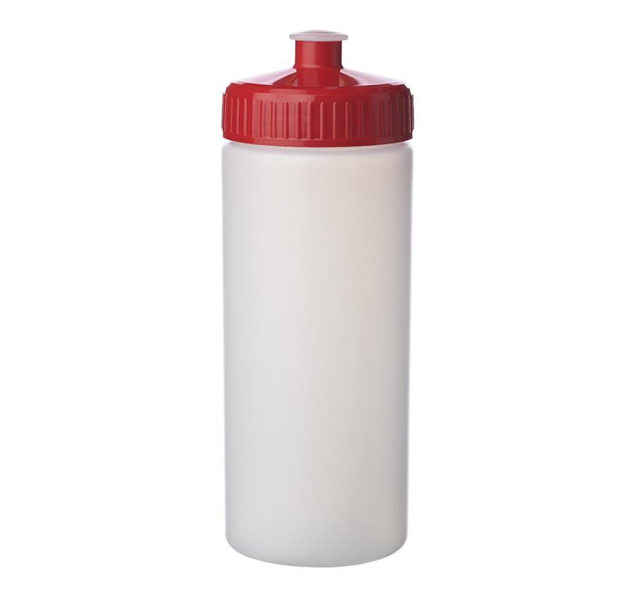 Frosted Plastic Water Bottles 20 oz - Red