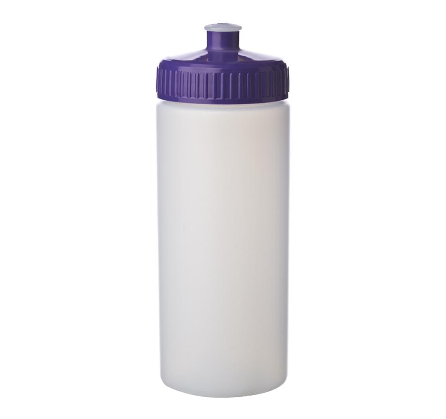 Frosted Plastic Water Bottles 20 oz - Purple