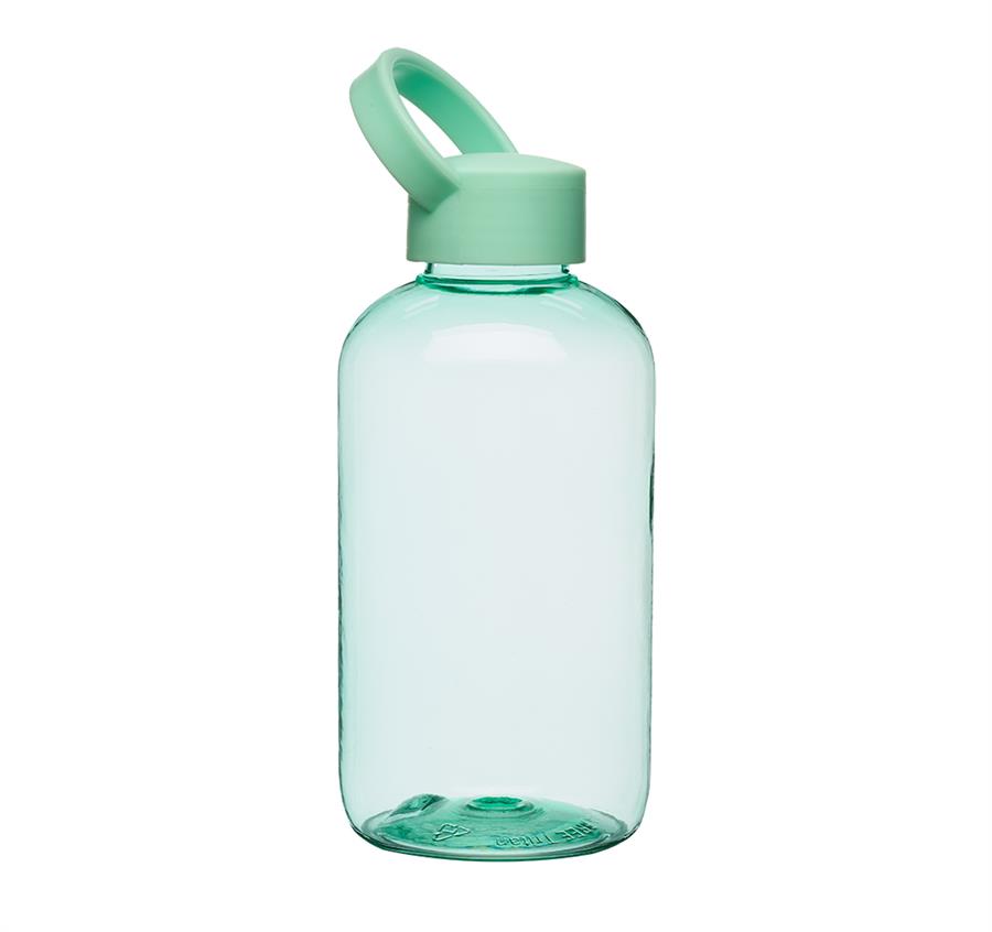 Beau Water Bottles with Handle 20 oz. - Mint