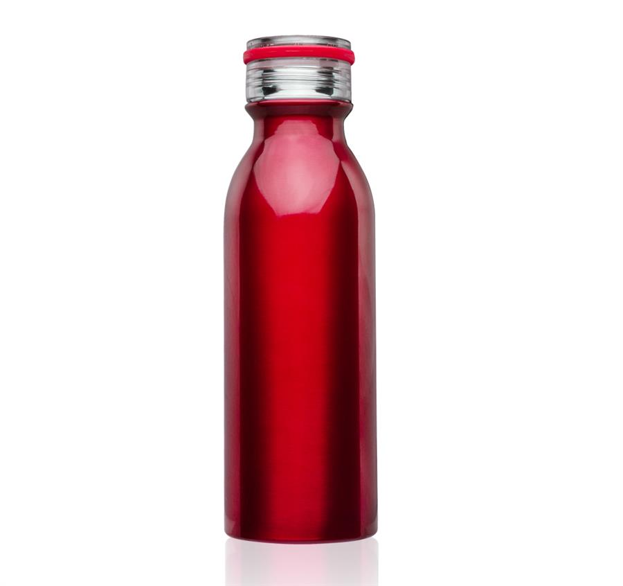 Echo Stainless Steel Water Bottles 20 oz - Red