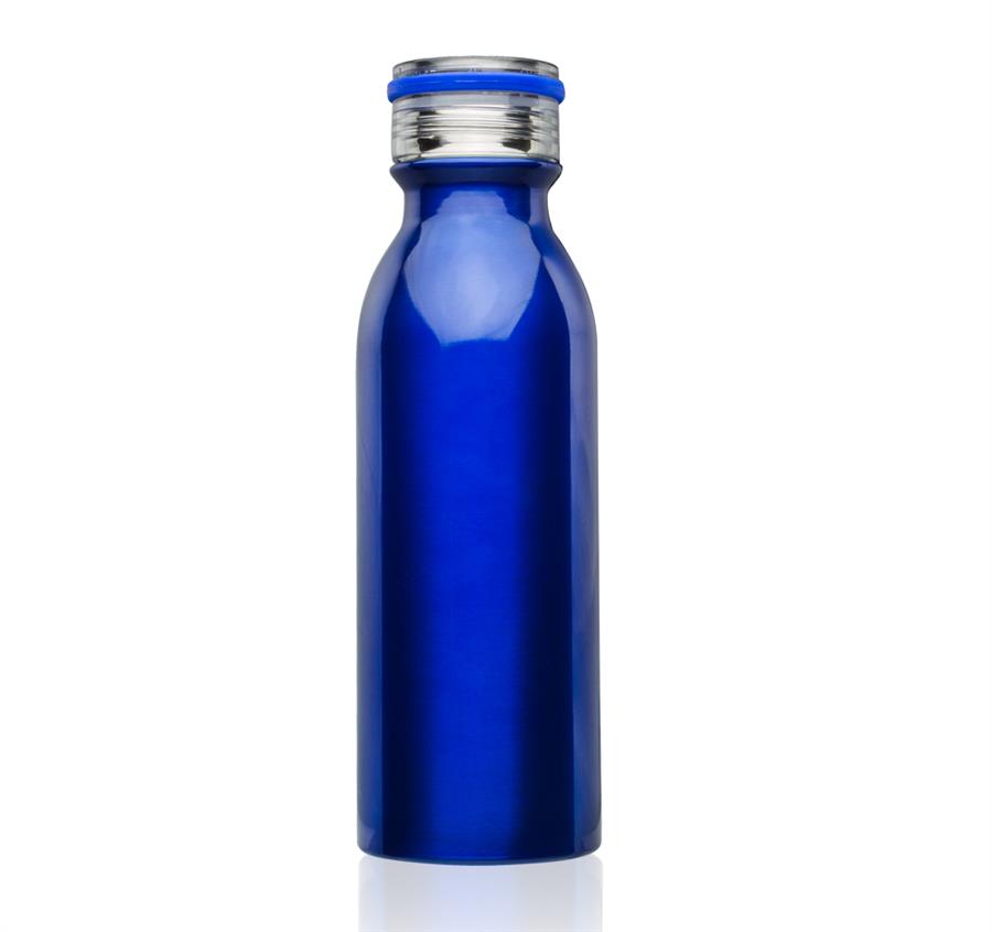 Echo Stainless Steel Water Bottles 20 oz - Blue